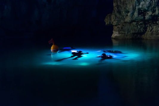 Plongée nocturne