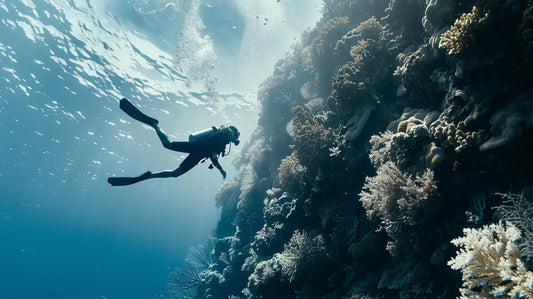 Plongée sous marine